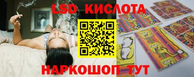 стафф Заволжье