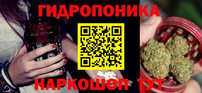 стафф Заволжье