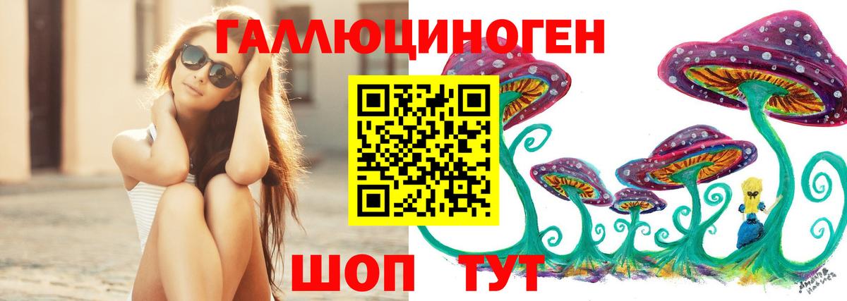 Ленинск-Кузнецкий  Псилоцибиновые грибы Psilocybine cubensis  Вход с VPN 